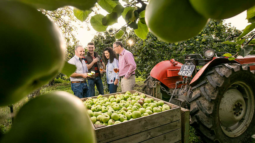 Worlds best Apple - TGNI